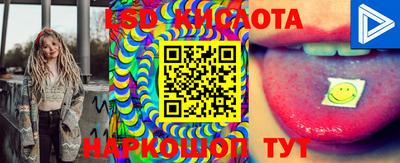 мдпв Кингисепп
