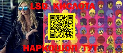 мдпв Кингисепп