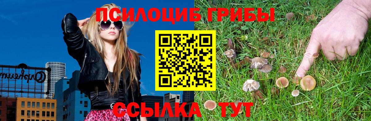 Псилоцибиновые грибы мицелий  даркнет сайт  Коломна  Вход с VPN 