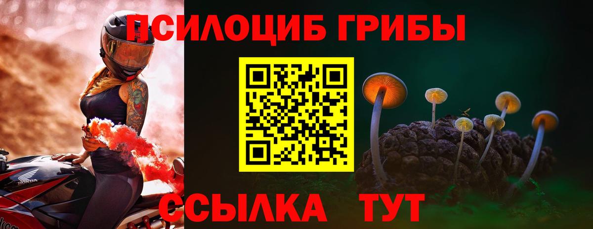 Галлюциногенные грибы Magic Shrooms Коломна